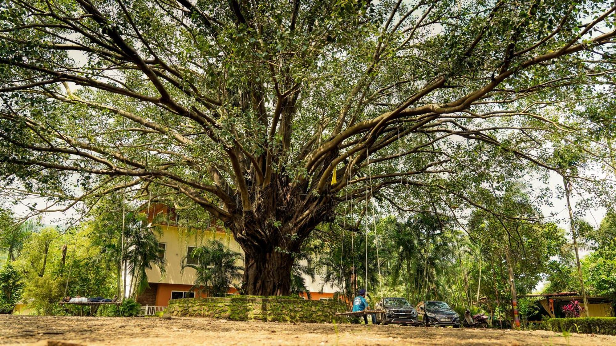Whispering Peepul Resort Badlapur Exterior foto