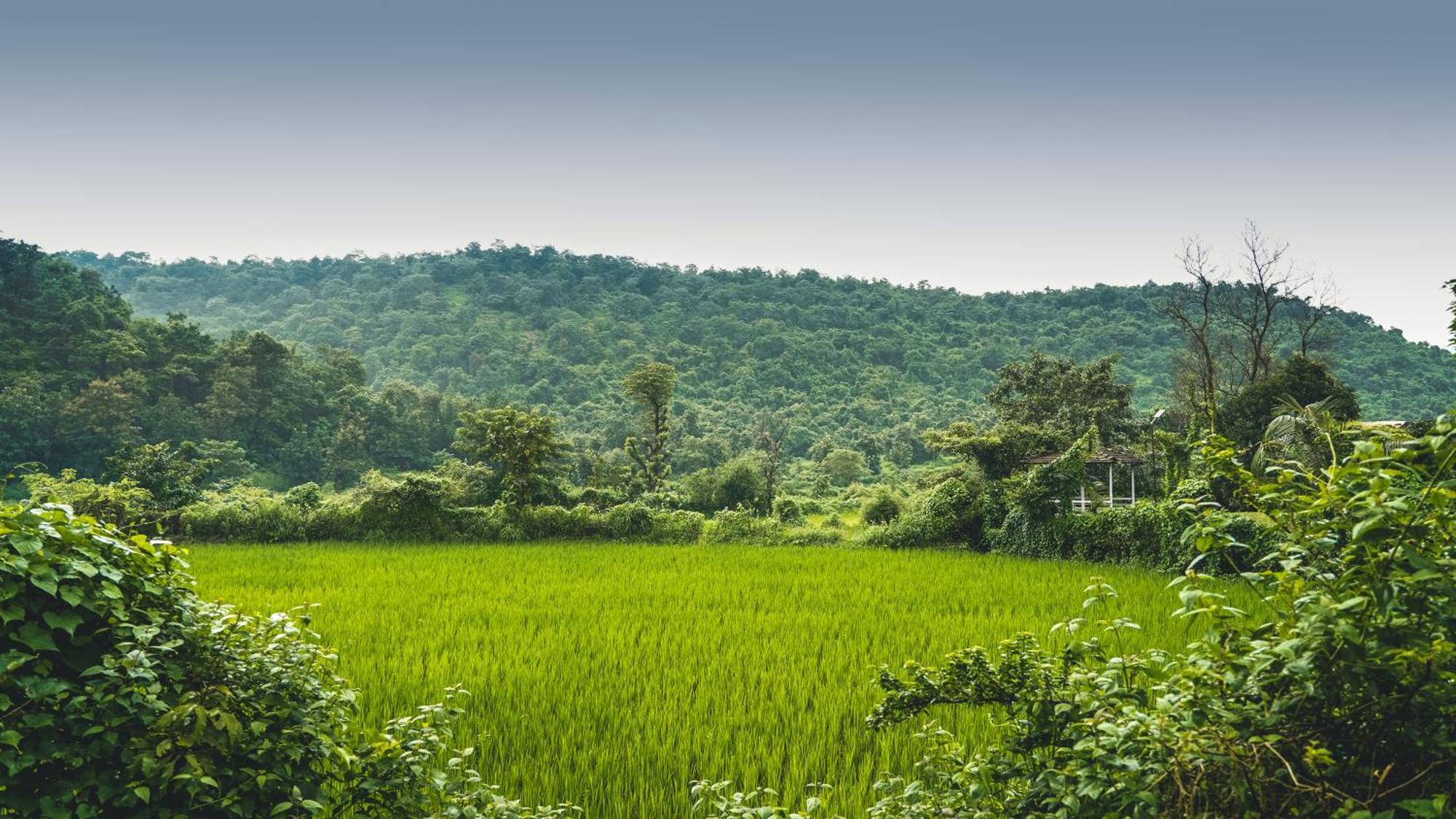 Whispering Peepul Resort Badlapur Exterior foto